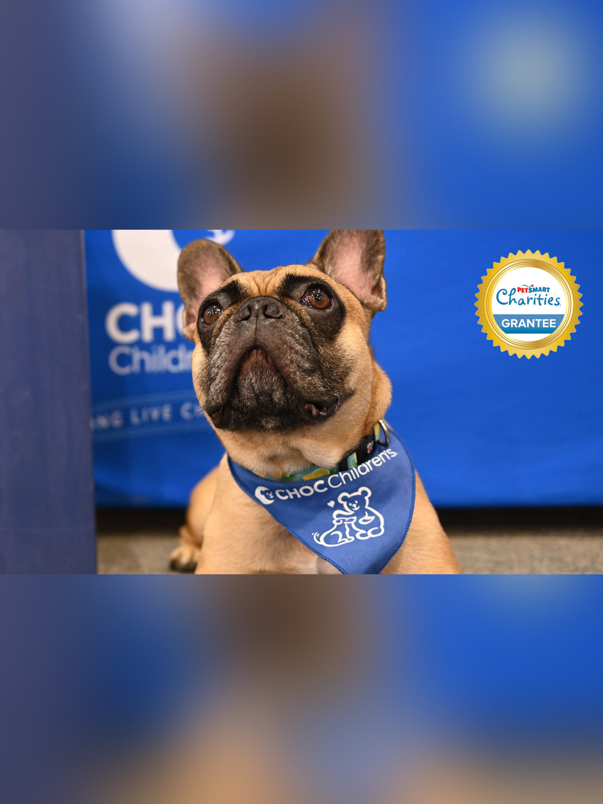 PetSmart Charities donates nearly two years of dog food to PACC